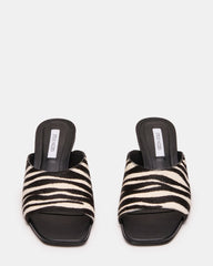 TRINA ZEBRA